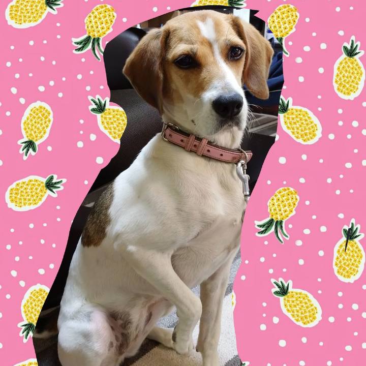 95046039 ece6 4cc7 a073 275e0b2d877f 1597730334131