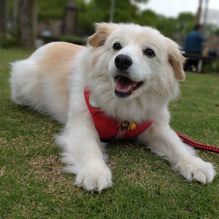 950491c2 bcba 4be4 bec5 3e12c70ca069 1652585980057