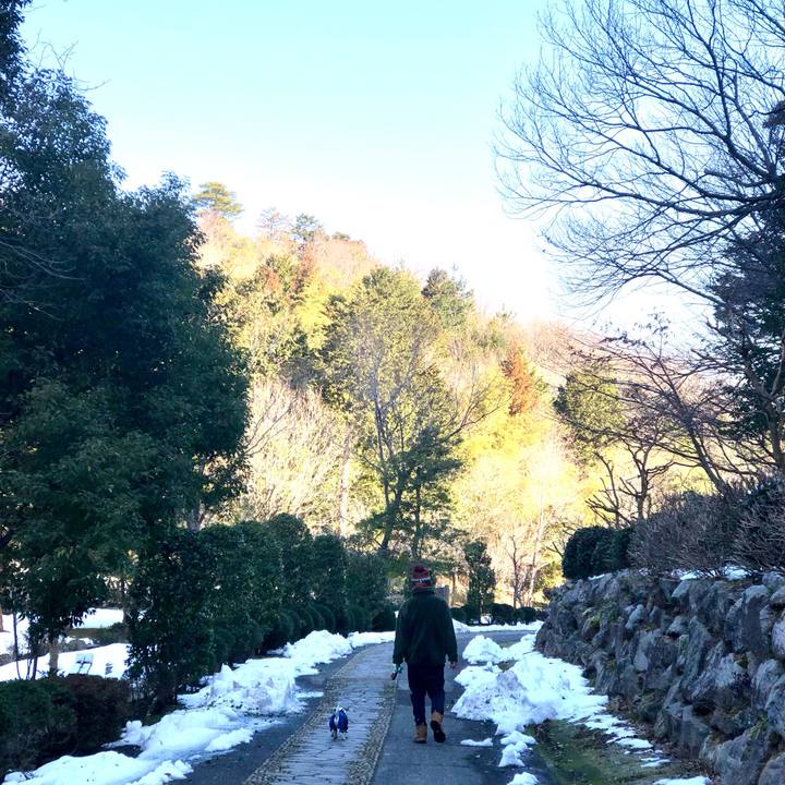 9504d43e edd3 4364 bf02 1984b749d416 1739617216064