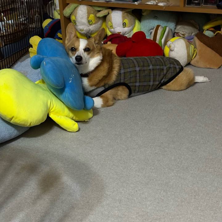 9504e79a 6516 47e9 93a8 c67b2aac8598 1760538994174