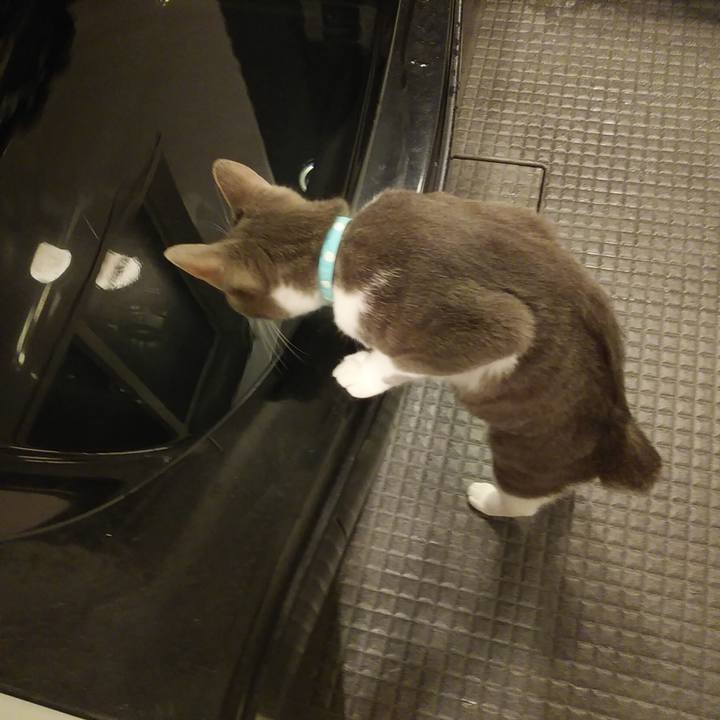 95050b99 6635 493a 9abb e9654777b56c 1593873139580