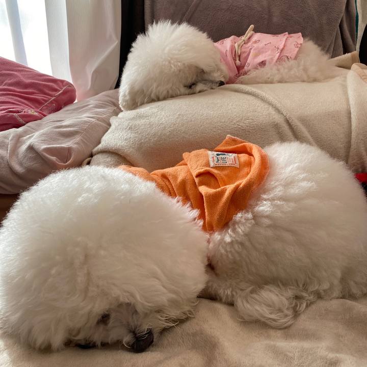 9505114d 6e6b 49d7 a4f7 b8e100afc0ec 1614208161241