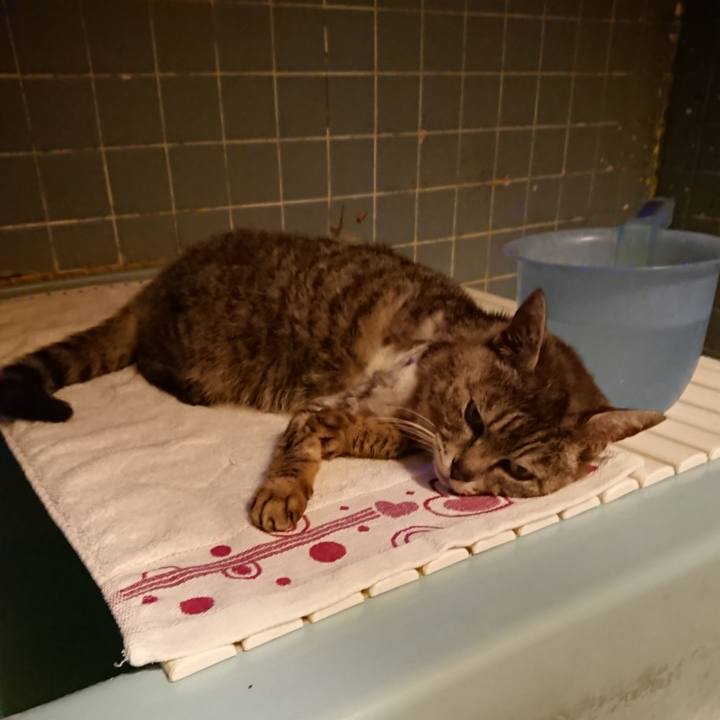 95051c9d ae56 4695 9b9d e8455e6e9387 1590229017224