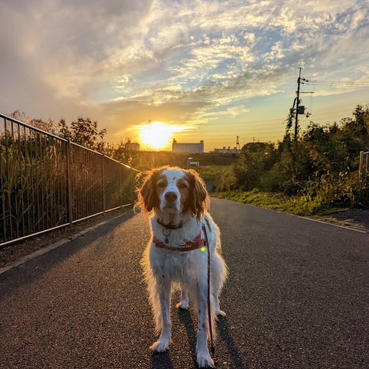 950541f5 73a4 4716 b7f7 848047c4a91f 1666869258744