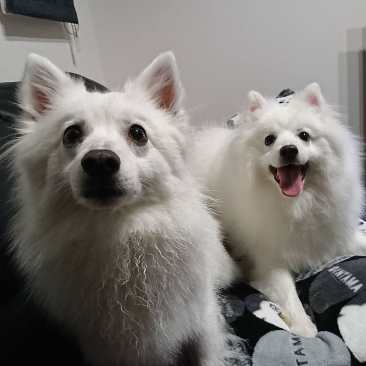 95054e1d 328c 4ce9 83fd daae48a48ea5 1560332239448