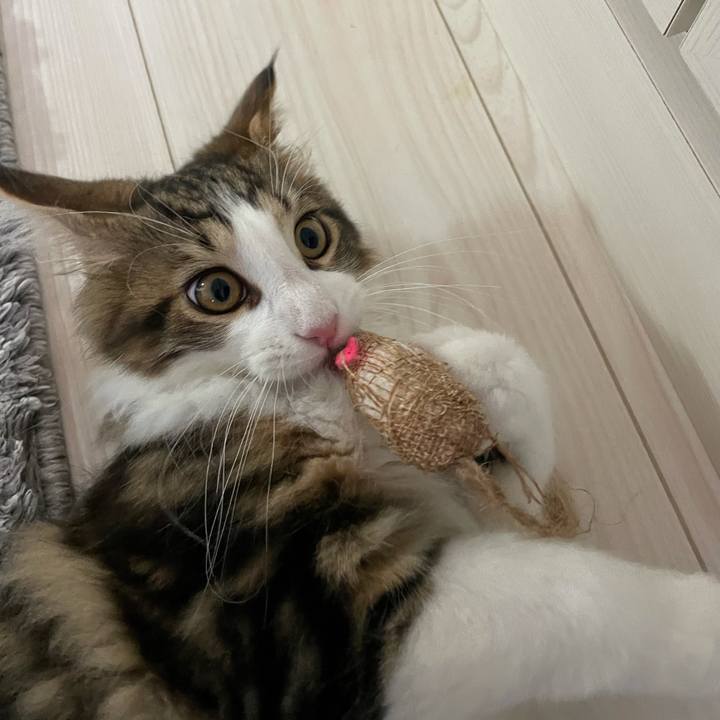 95057dd7 cf48 4fed 944a f5e187c4c185 1634368539252