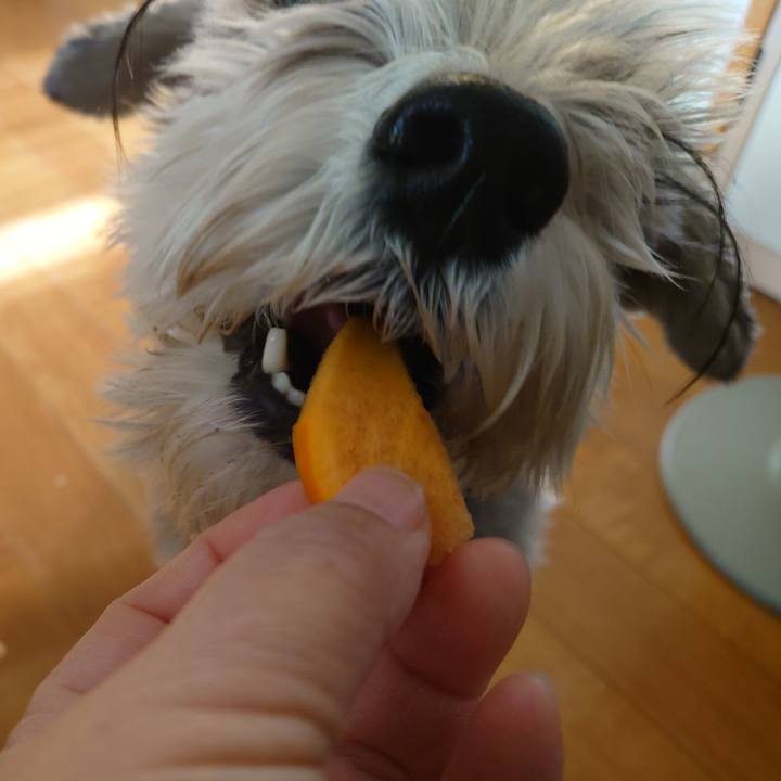 9505ce8e 8188 4988 84bf cc6ca7818dd5 1765239237509