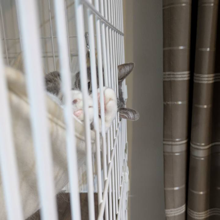 9505fa2b 45ec 4efd 838c a946f681b081 1756433838644