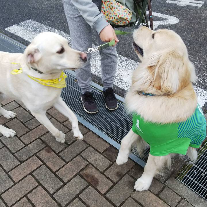 95062279 b905 4790 921a 73ae6f4a6adc 1516413484824