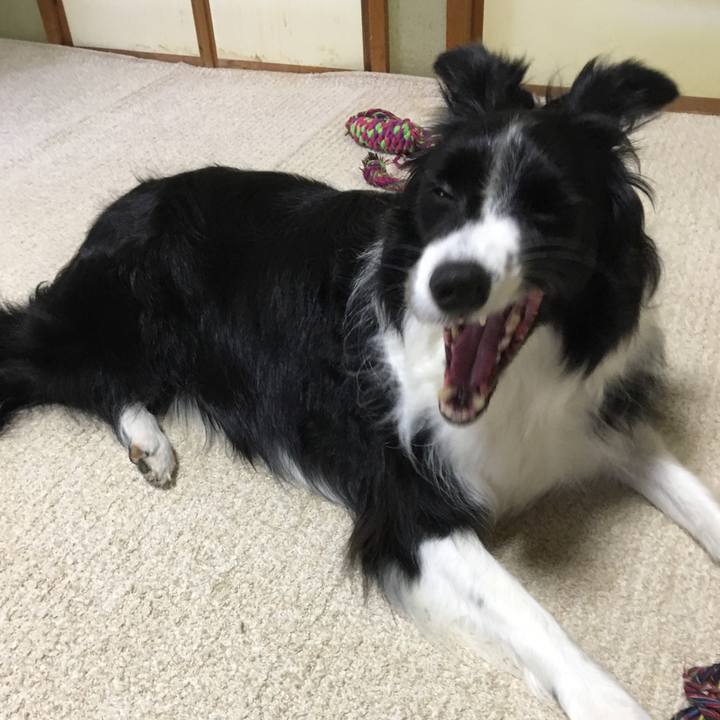 95062bdf a1ce 4a90 bfb5 983544148a03 1538972944824