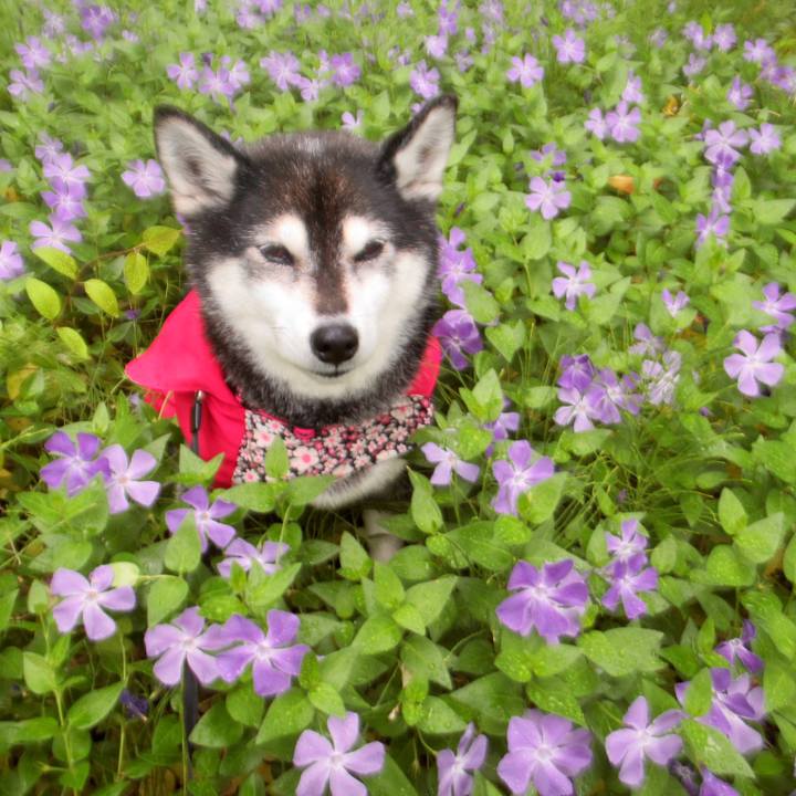 95063432 49e4 43b1 aca4 07584039b9a0 1685351809054