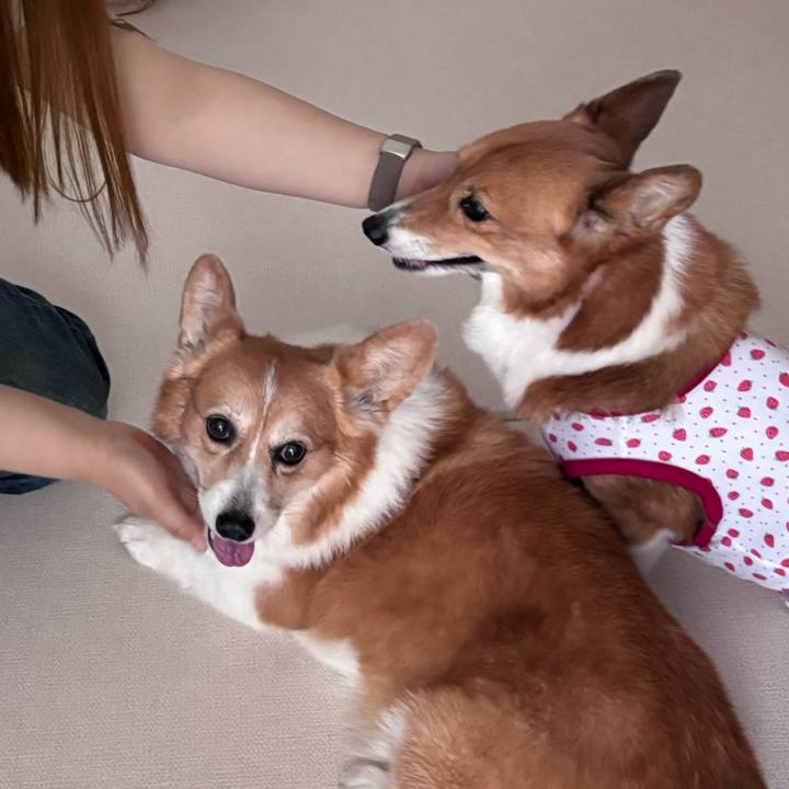 95064d4c 04a4 46d6 b619 1bbcbee12b4d 1752286477099