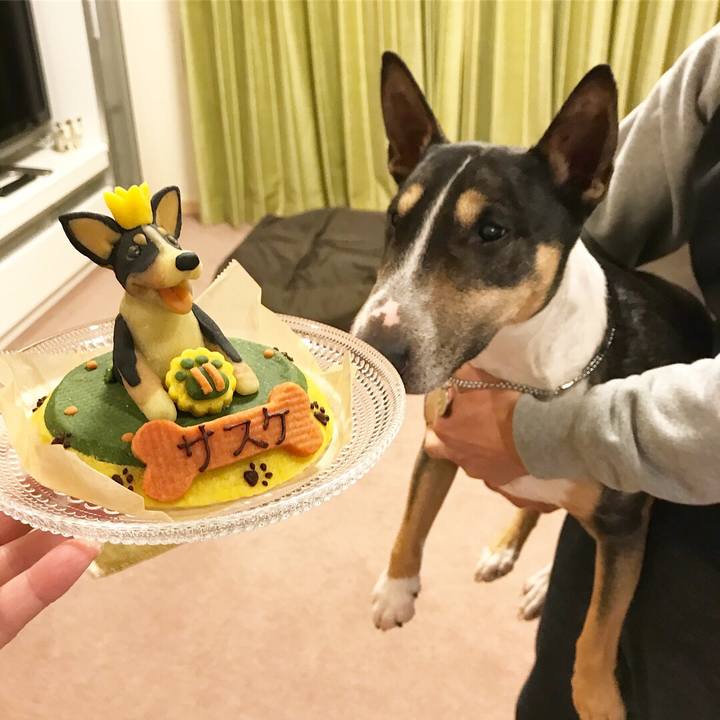 95067413 197e 4f4d 9eb7 34f97713f8e1 1516797644057