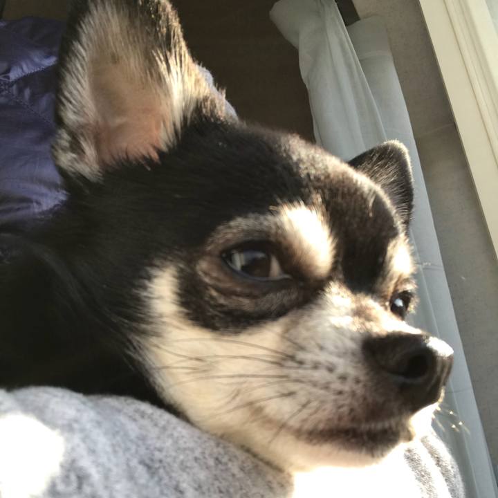 95067e5e 2dd5 42ef 8df4 080a3dda8535 1518825364034