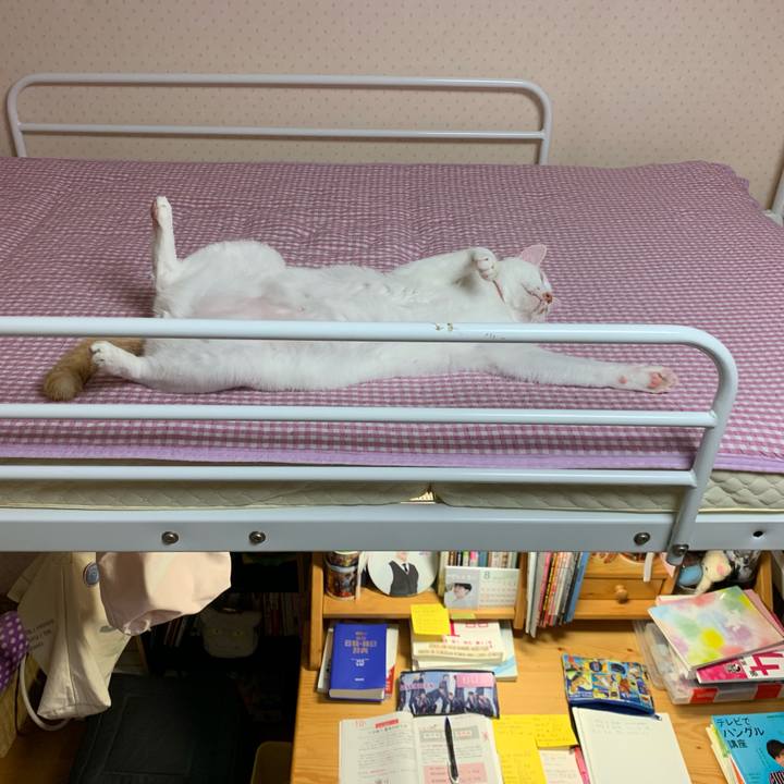 9506d6c2 6663 490b 9429 b456034513f2 1566226459668