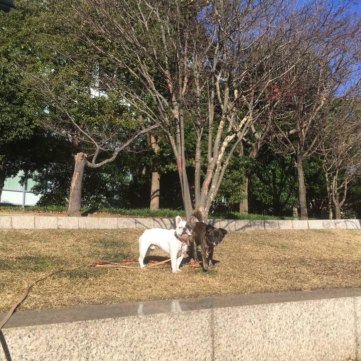 9506de24 fa37 47b8 8a91 f44302fa9bc4 1547260616702