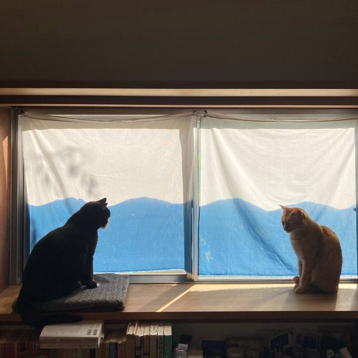 9506f121 6499 4441 b144 28cb7648783e 1603285212542