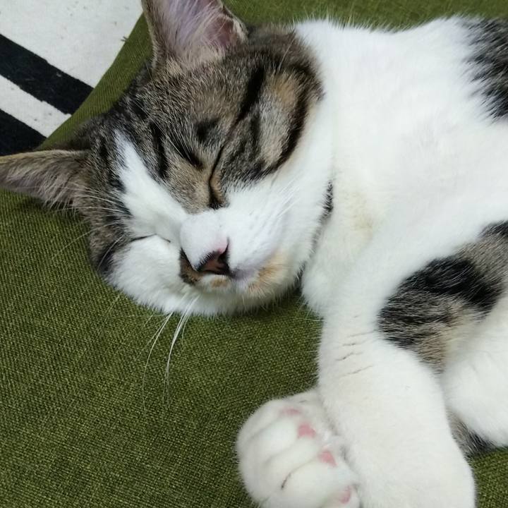 95072290 6ffb 4804 a2fa f2fbe4c6f5e0 1620219900143