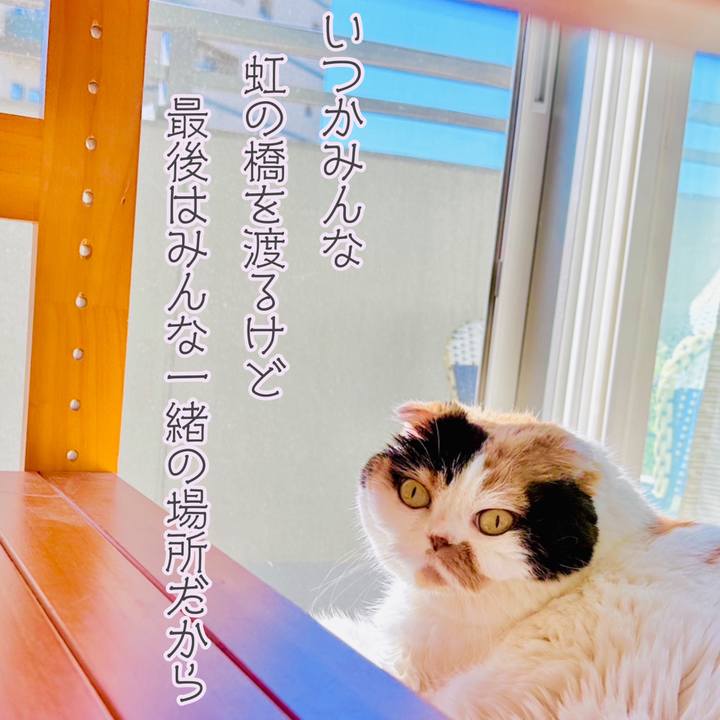 95072e97 1ea3 4482 b11e 58052bc0723b 1725528480901