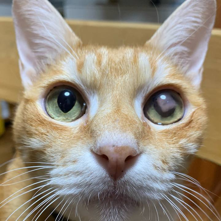 95075377 b826 4849 9ee6 bc4c3d3dfeb5 1607789158096