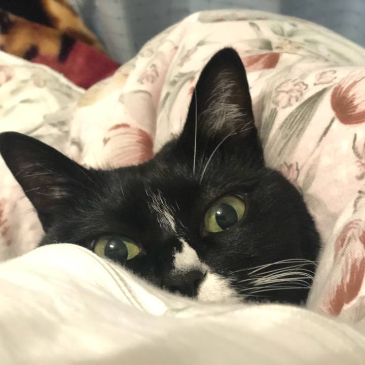 9507685f a4b3 48cf 8bdc e8f10f1e161e 1578186834956