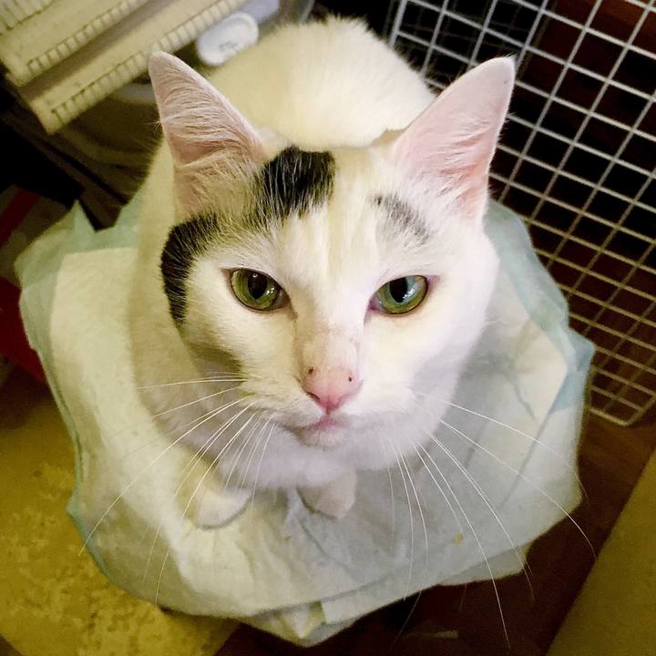 950777e1 c90c 410b 9d58 c332586c835e 1571640602400