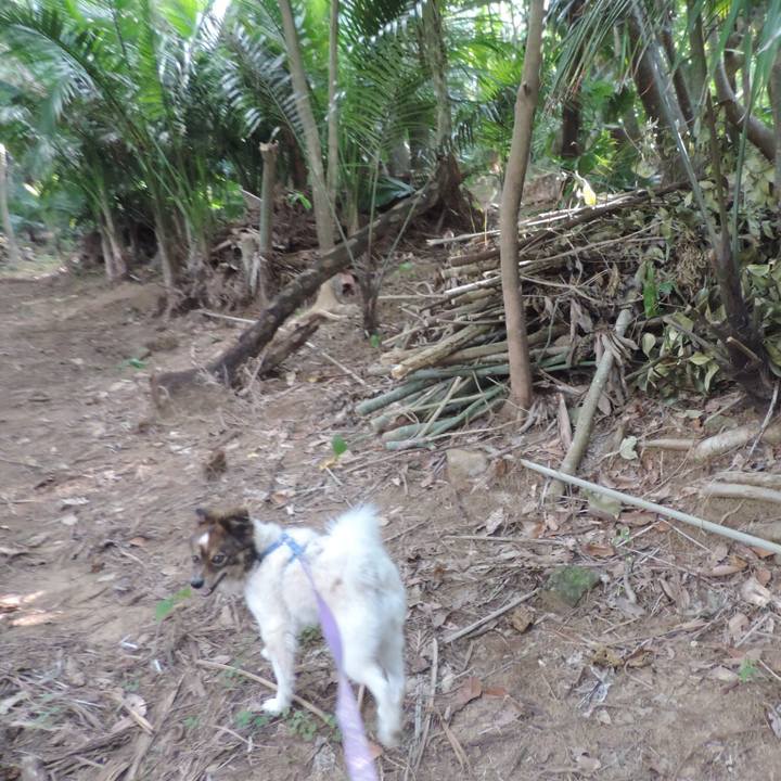 95077a24 1c1e 45cb a147 34a95297e50a 1523011523163