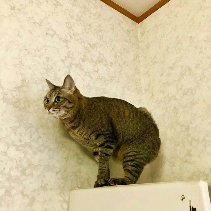 9507862b 89fe 41bb 81a5 839f4d8bd5e6 1511478974680