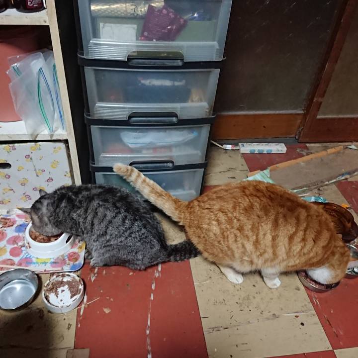 9507b63d e900 486a b2d7 bc3796fd78b1 1580720472295