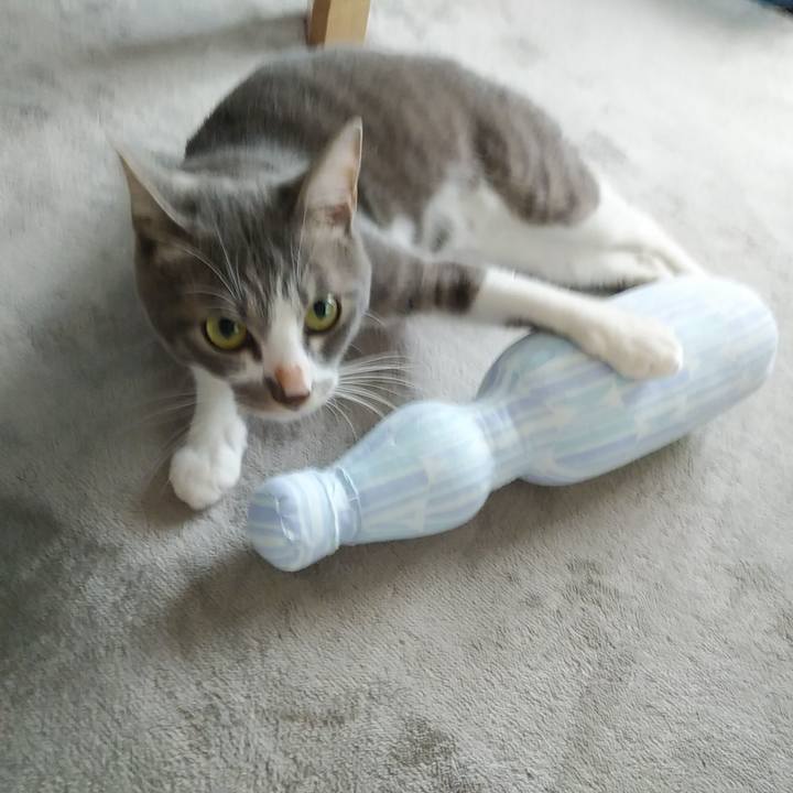 9507c47b 3d65 4f56 8292 77ad787501c6 1594853181662