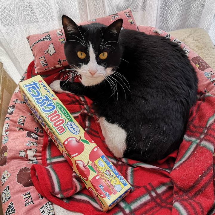 9507d499 16b5 4557 a2b5 957e1bcb97f3 1585470225623