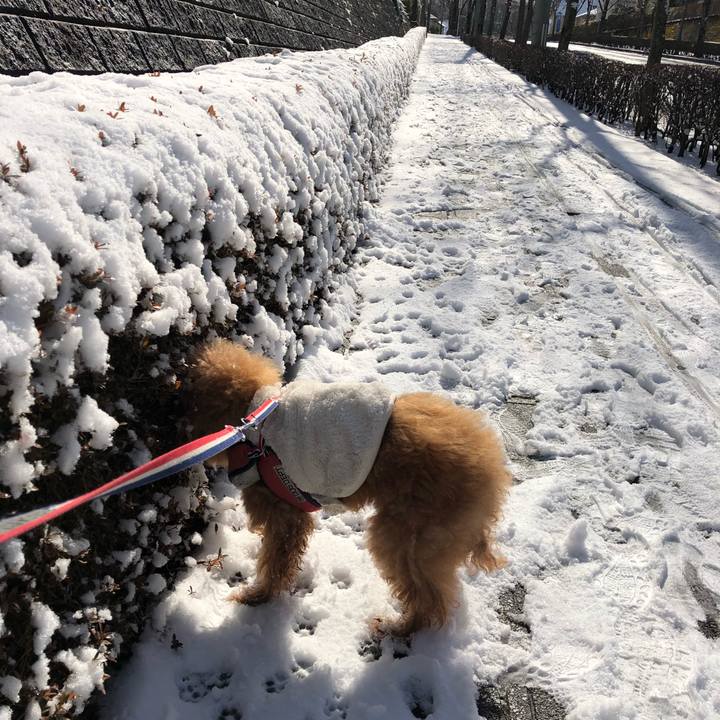 9507f4a0 9e0e 4241 9bf1 50f6846dfad4 1644062165341