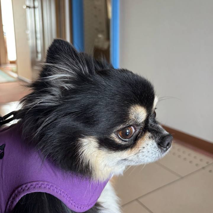 95080d19 001c 4fcc a4aa 942b123b5067 1765939809648