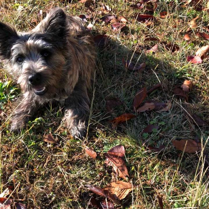 9508269f af51 4ced 85d4 9549dd061147 1613227713349