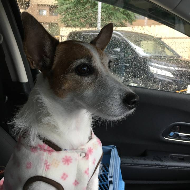 9508312c 7088 420c 904d 6417bf93899f 1634863163640