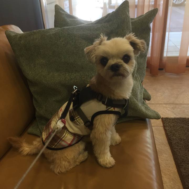 95083450 1dc4 4057 be37 8ffba6f84f34 1560753011333