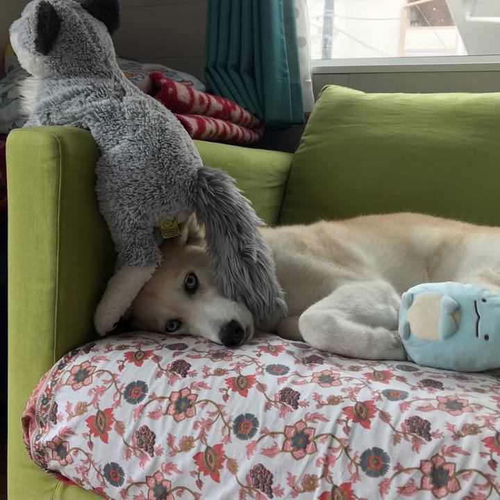 950843a3 3504 43ab a64d b47dd35f0214 1651101549014