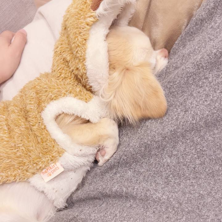 95089a33 4634 4614 bf87 3bb48b9096c3 1739526788669