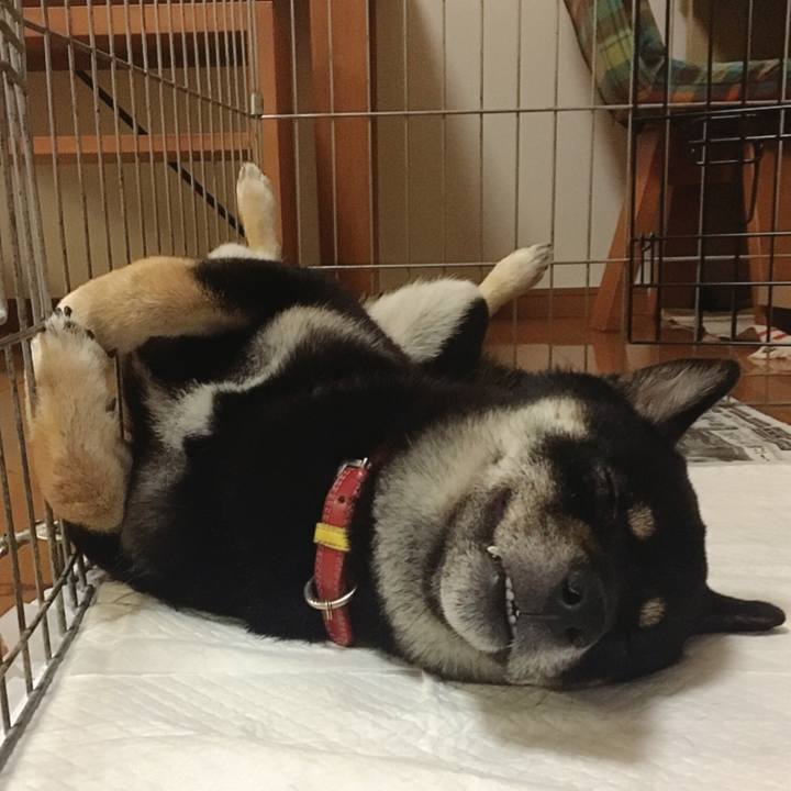 95089d62 1d79 4ace 9b46 077cc348d2e8 1525354338964