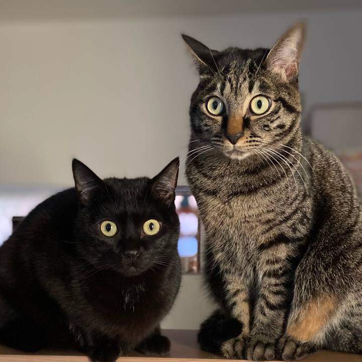 950973e5 fadb 4ba0 8b55 ba8b98a6202c 1645442692908