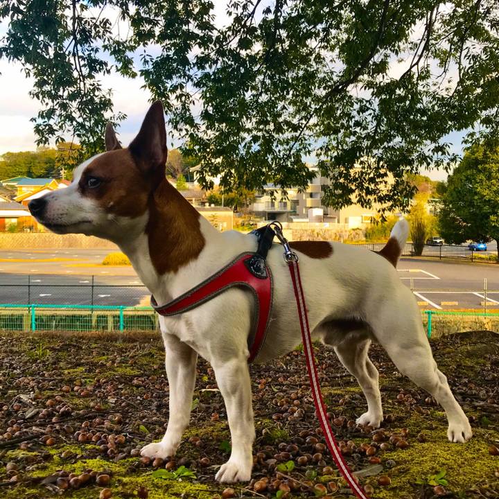 9509a1e1 ecb8 4b46 8863 ca1853eca497 1515242719244