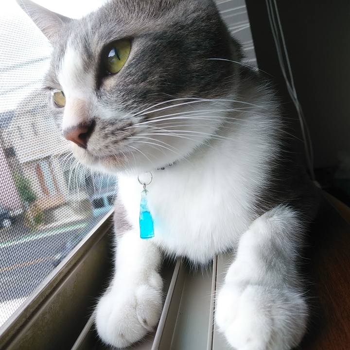 9509cf14 66be 45d7 a47d 7870913ab7b0 1594075033994