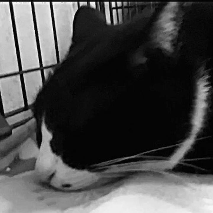 950a8c61 405f 462a a2e2 933eaf69477b 1743155533091