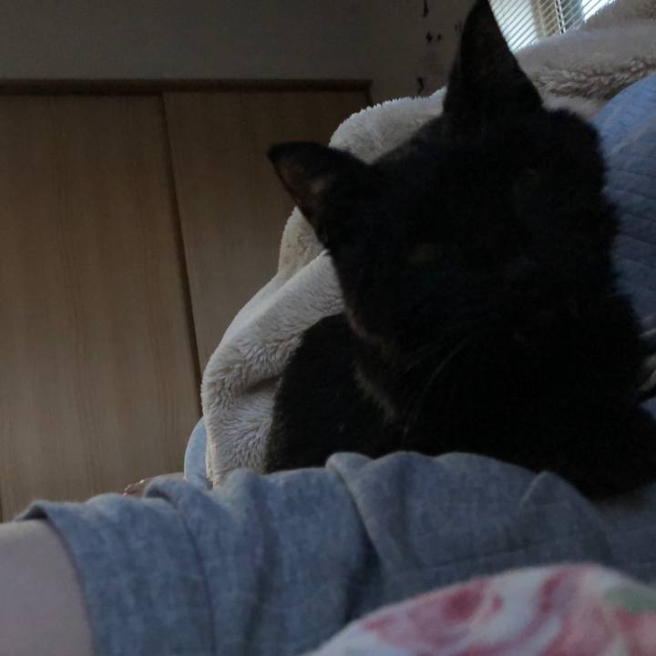 950b386d 0716 47aa adcc 8e5993cd9d8f 1558301188102