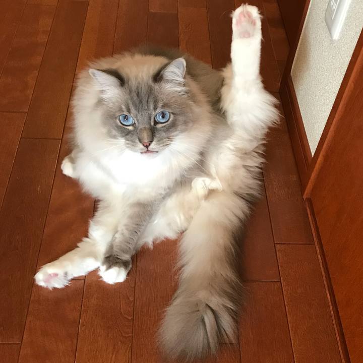 950b59c7 4abb 400a 8ff3 26b919a7e2a2 1520289446901