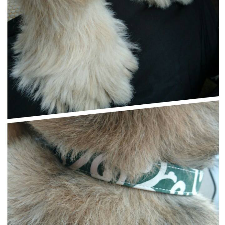 950b65a0 88ea 4eb6 afe8 a687b8842b97 1512608346658