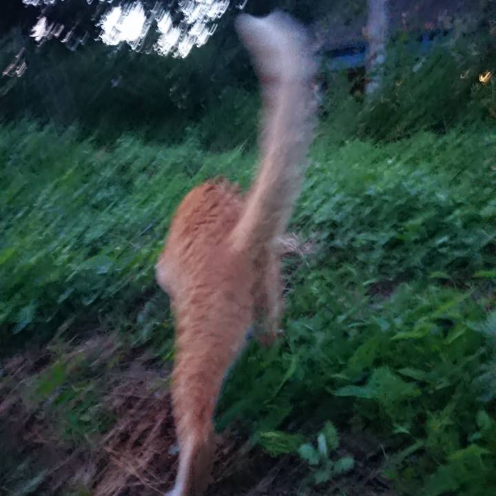 950b7ed4 dd67 4a11 bccc 1289acc86285 1565437901675