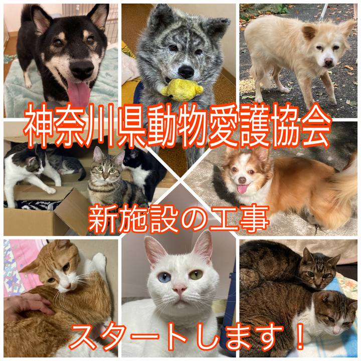 950b89ec 51ae 46e6 98be c58f1b0c580c 1704705330637