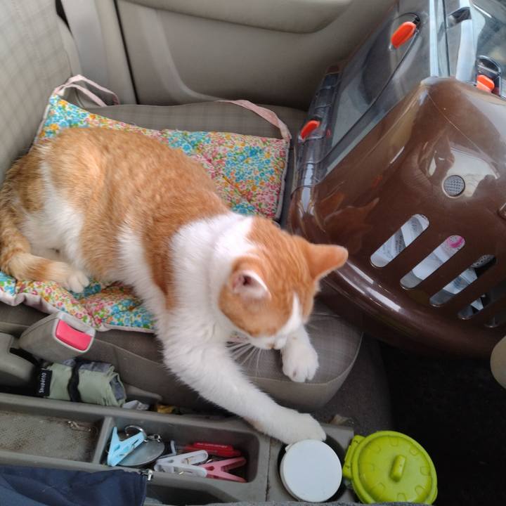 950bbe64 591c 4fab bbc4 a4d3ff75d8a6 1744965577666