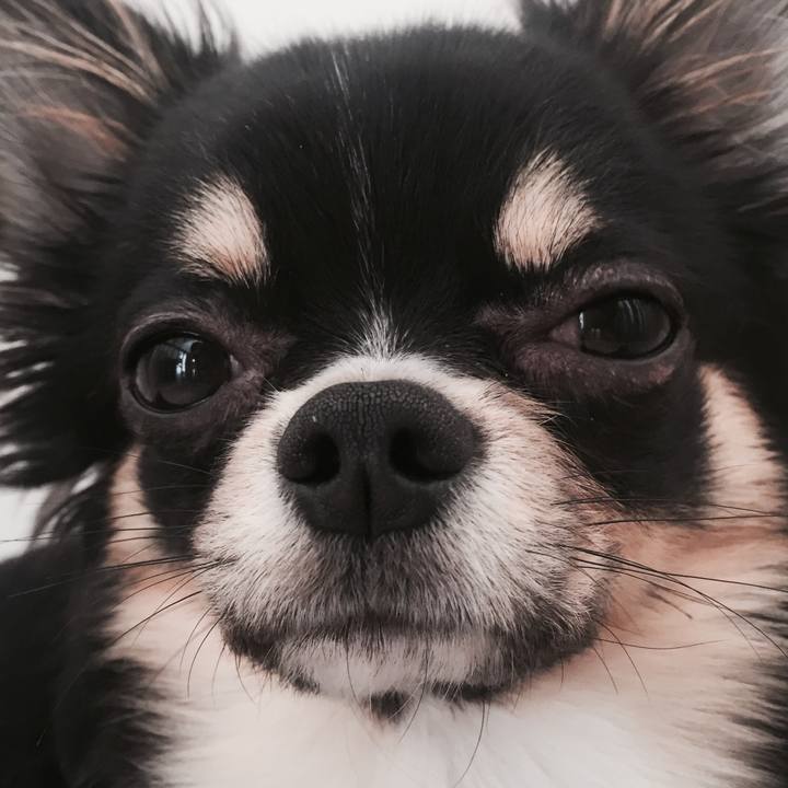 950bcda9 a8c4 496a 9854 cbdfb5631d14 1524270857630